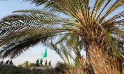 زوار أربعينية الإمام الحسين "ع" يواصلون السير مشياً على الأقدام باتجاه مدينة كربلاء المقدسة.